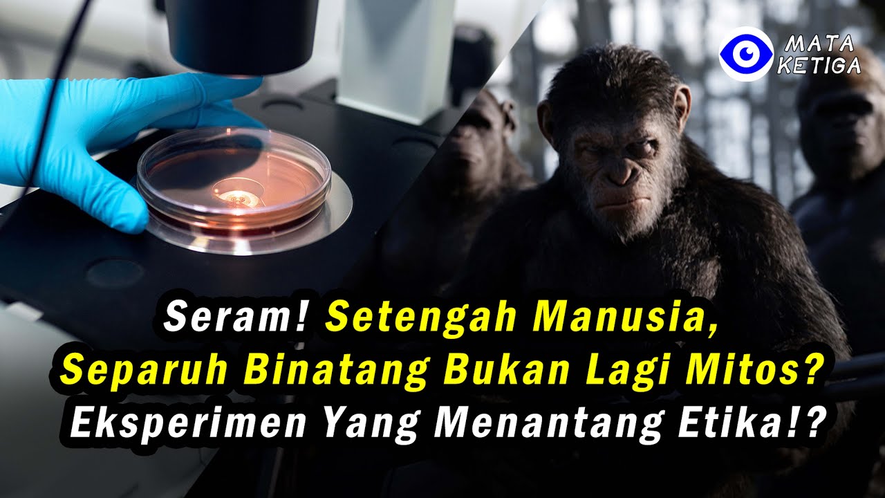 Seram ! Setengah Manusia, Separuh Binatang Bukan Lagi Mitos? Eksperimen ...