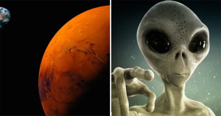 Apakah NASA Hancurkan Bukti Kehidupan Alien di Mars 50 Tahun Lalu?