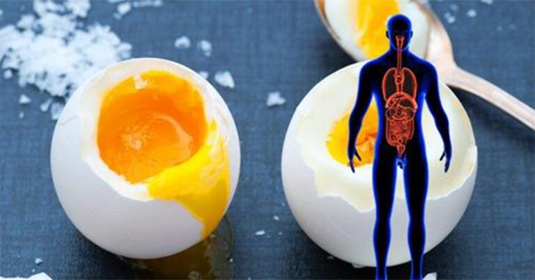 Inilah yang Terjadi pada Tubuh Anda Jika Anda Makan 2 Butir Telur Sehari