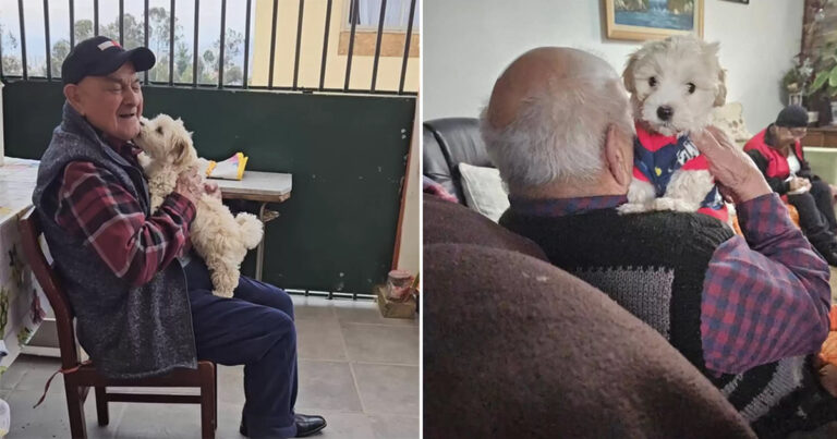 Kakek Berusia 96 Tahun Mulai ‘Kembali Muda’ Setelah Anak Anjing Memasuki Kehidupannya