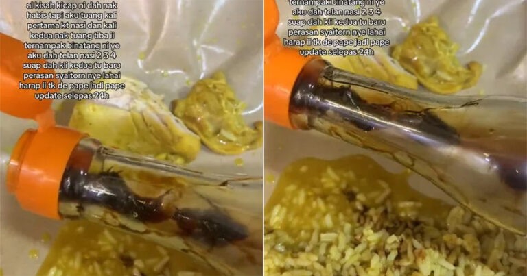 Wanita Malaysia Menemukan 3 Kecoak di Botol Kecap Setelah Menuangkan ke Makanannya