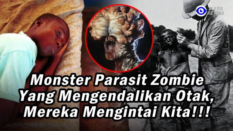 Monster Zombie yang Mengendalikan Otak! Konon, 30% Orang telah Terinfeksi? Mengintai Di sekitar Kita