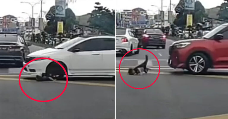 Ajaib!! Anak Jatuh dari Mobil yang Berjalan, Ditabrak Mobil 2 Kali Masih Selamat