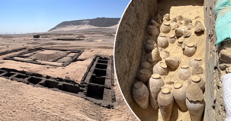 Anggur Berusia 5.000 Tahun Ditemukan di Makam Ratu Mesir