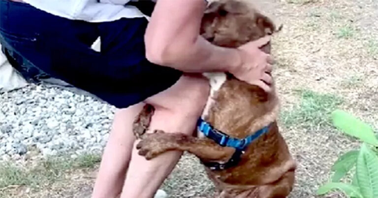 Anjing Ini Selalu Memeluk Pemiliknya, Ada Alasan di Balik Sikap Penuh Kasih Sayangnya Ini