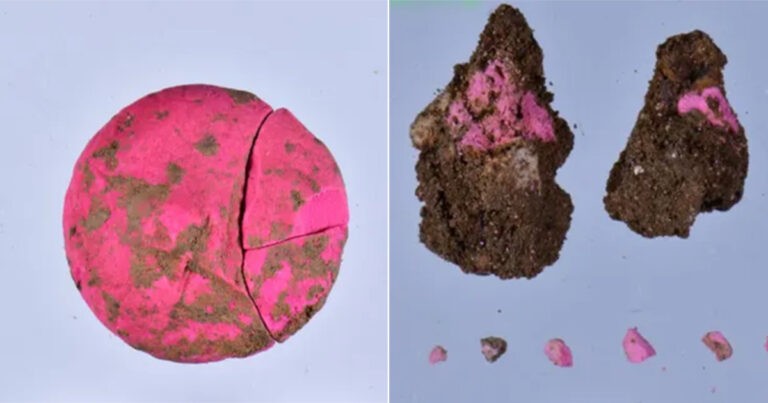 Bola yang Ditemukan di Reruntuhan Toko Berusia 2.000 Tahun Mengungkap Bahwa Orang Romawi Menyukai Eyeshadow Berwarna Pink