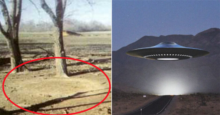Jejak Hangus di Tanah di Mana Keluarga Menyaksikan ‘UFO’ Mendarat