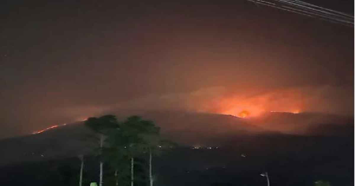 Kebakaran Hutan Dan Lahan Melanda Gunung Merbabu Warga Terdekat