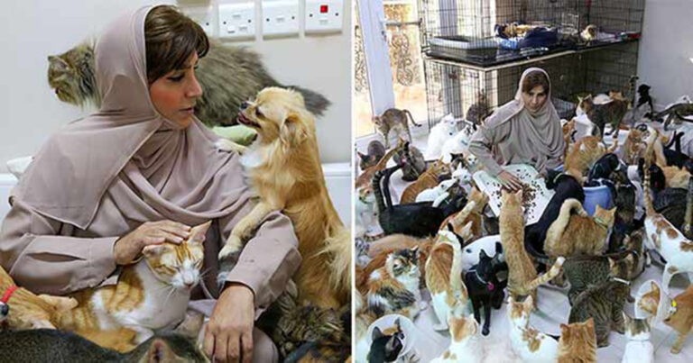 Pencinta Hewan Ini Berbagi Rumah dengan Ratusan Kucing dan Anjing