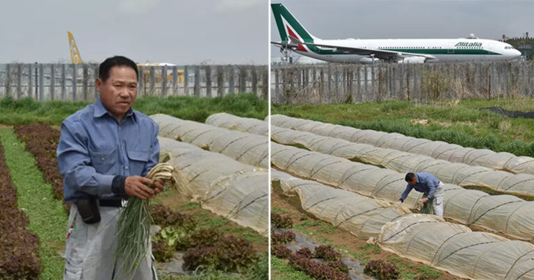 Pria Lanjut Usia Ini Tinggal di Lahan Pertanian di Tengah Bandara Setelah Berjuang Selama Puluhan Tahun untuk Tetap Tinggal di Tanah Milik Keluarganya