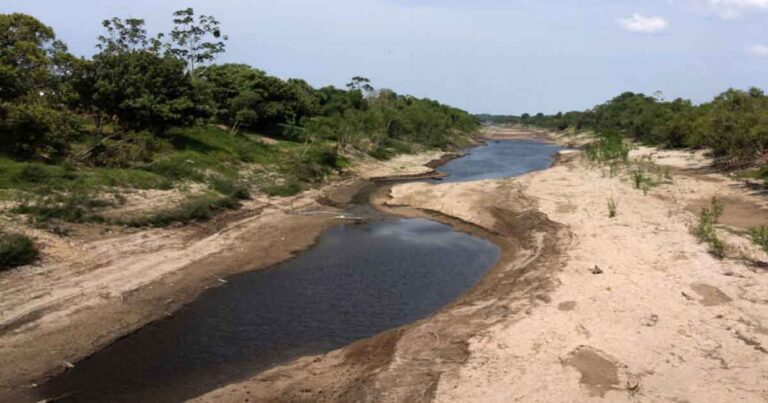Petroglif Berwajah Manusia 2.000 Tahun Silam Muncul di Tepian Sungai Amazon yang Kekeringan