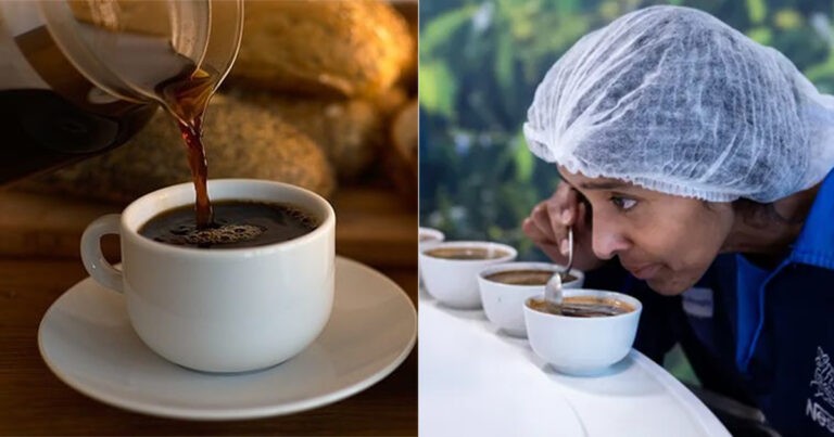 Taster Kopi Profesional Mengatakan Dia Bisa Menebak Asal Kopi Apa Pun Hanya dengan Satu Tegukan