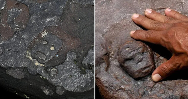 Ukiran Kuno Misterius yang Ditemukan Akibat Mengeringnya Sungai Negro di Amazon