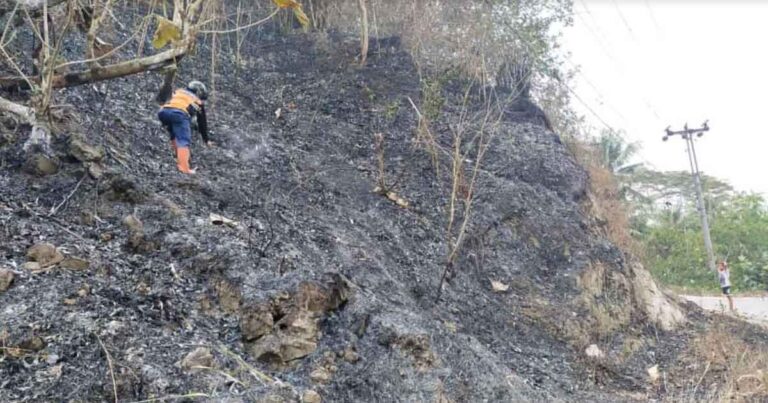 Kebakaran Lahan di Cilacap Berhasil Dipadamkan, BNPB Terus Imbau Masyarakat Siaga Musim Kemarau