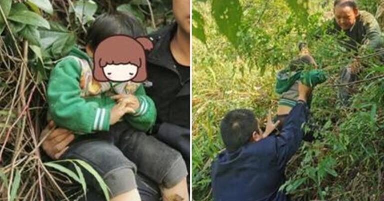 Gadis Berusia 3 Tahun di Tiongkok Diculik oleh Monyet, Ditemukan di Pohon Dekat Tebing Beberapa Jam Kemudian