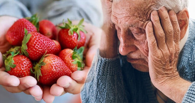 Konsumsi Stroberi Setiap Hari Dikaitkan dengan Retensi Memori, Mengurangi Risiko Demensia