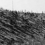 Misteri-Peristiwa-Tunguska-2