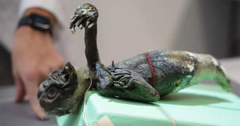 ‘Mumi Putri Duyung’ dari Jepang Ditemukan Merupakan Campuran Bagian Tubuh Frankenstein