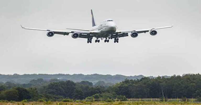Pesawat Boeing 747 Terpaksa Kembali Mendarat ke Bandara Setelah Seekor Kuda Muatannya Mengamuk