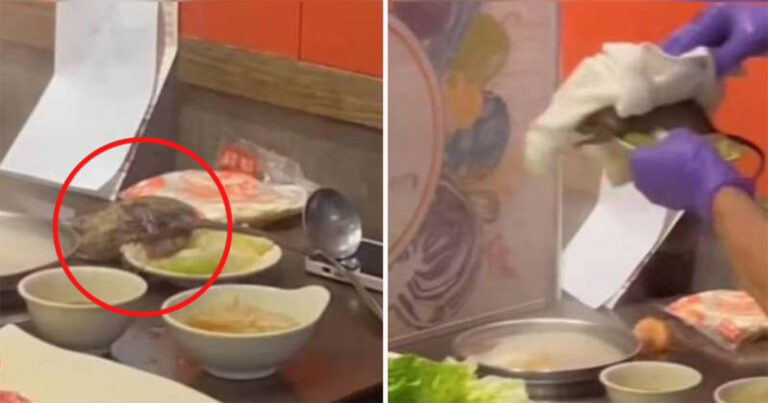 Tikus Jatuh dari Langit-langit Restoran Hotpot di Taiwan, Hampir Mendarat di Sup Pelanggan