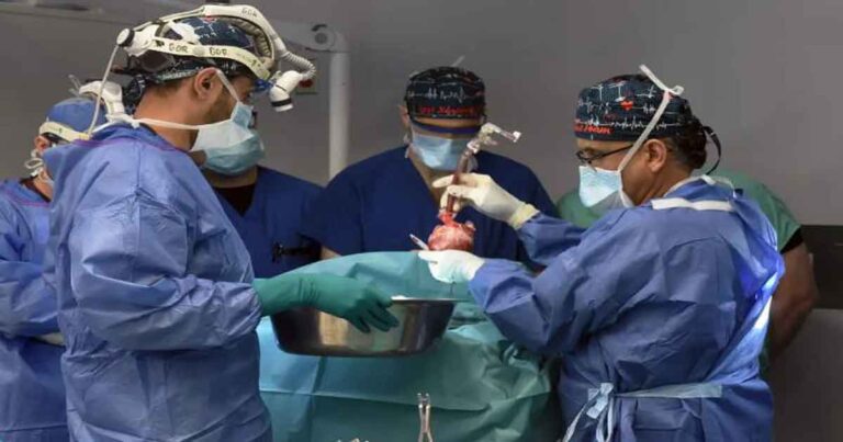 Penerima Transplantasi Jantung Babi Hasil Rekayasa Genetika ke-2 Meninggal Dunia