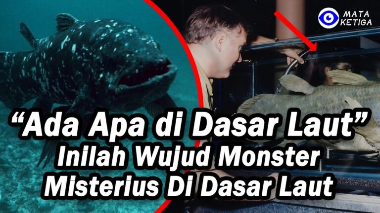 Inilah Wujud Monster Misterius Di Dasar Laut…?