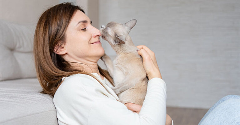 5 Alasan Mengapa Kucing Menggigit Hidung Anda