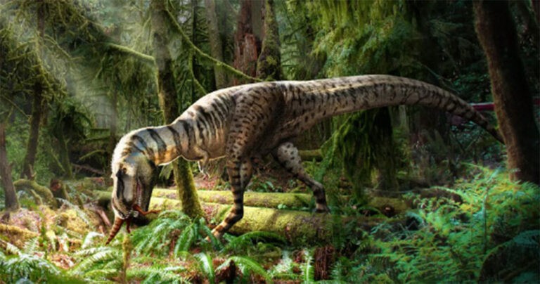 Isi Perut yang Menjadi Fosil Mengungkap Apa yang Dimakan Tyrannosaurus Muda