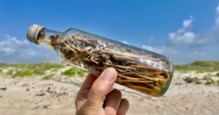 Misteri ‘Botol Penyihir’ Terdampar di Teluk Meksiko dan Orang-orang Sangat Takut untuk Membukanya