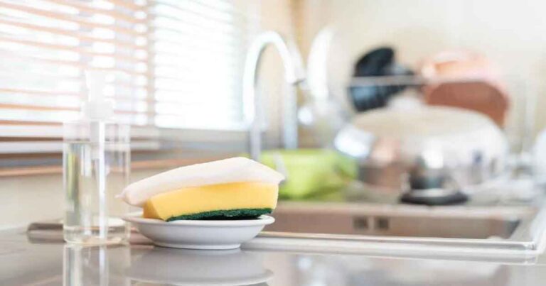 Cara Membersihkan Spons Dapur yang Bau, Jumlah bakteri pada Spons Dapur Anda Sangatlah Tinggi
