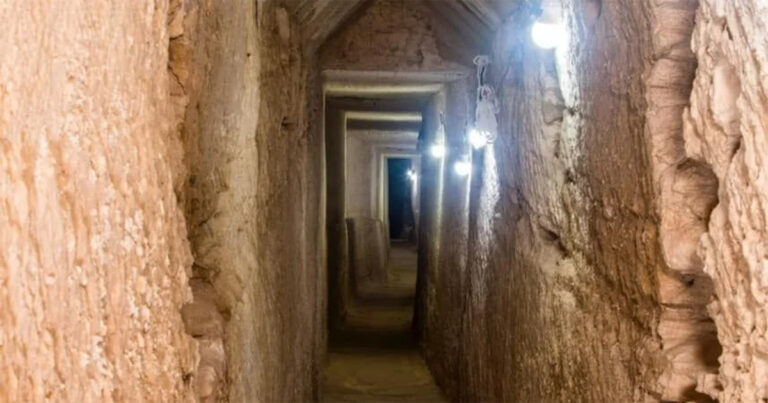 Para Arkeolog Menemukan ‘Keajaiban’ di Makam Mesir Kuno