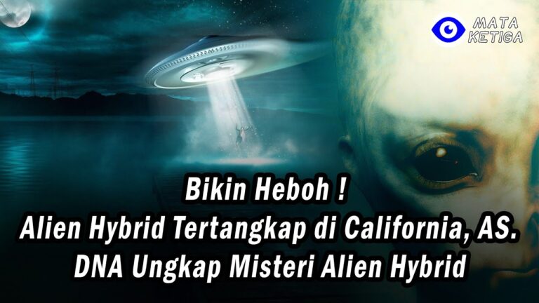 Bikin Heboh ! Alien Hybrid Tertangkap di California, AS. DNA Ungkap Misteri Alien Hybrid