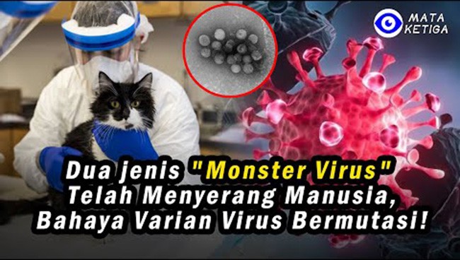Peringatan Darurat !!! ️Dua Jenis “Monster Virus ” yang Menghukum Manusia Telah Menyerang