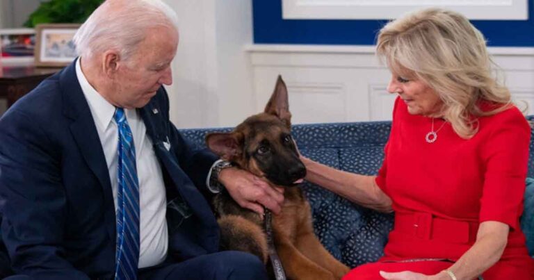 Anjing Joe Biden Diusir dari Gedung Putih
