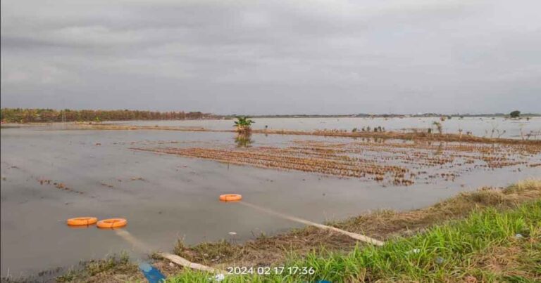 Hari ke 12, Banjir Demak Berangsur Surut, Pengungsi Mulai Kembali Ke Rumah