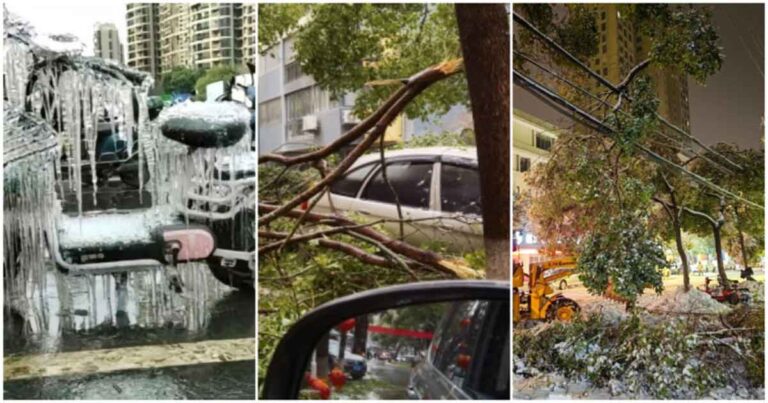 Hujan Salju Musim Dingin yang Lebat di Wuhan Menumbangkan Sejumlah Besar Pohon Hingga Menyebabkan Suara Berderak Sepanjang Malam