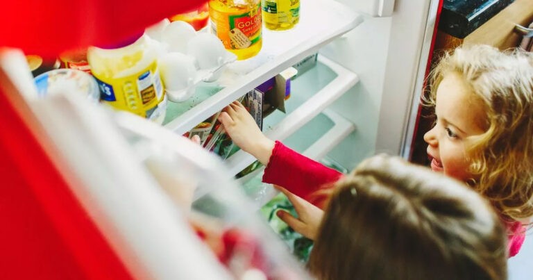 Seorang Ibu Memicu Perdebatan Online Setelah Memaksa Anak-anaknya Membayar Makanan yang Mereka Ambil dari Kulkas