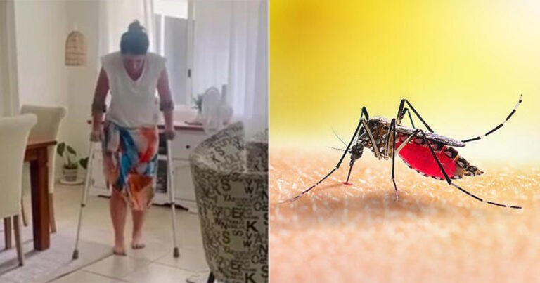 Wanita ‘Lumpuh Total dalam Semalam’ Karena Gigitan Nyamuk