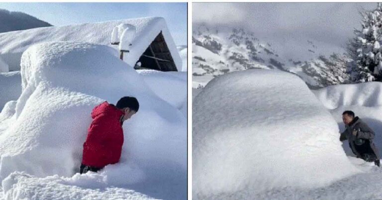 Badai Salju Berlanjut di Xinjiang, Orang-orang Menggali Salju untuk Menemukan Mobil Mereka Seperti Membuka Kotak Misteri