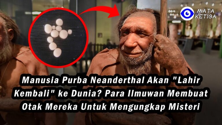 Manusia Purba Neanderthal akan “Lahir Kembali ke Dunia” Setelah 40.000 Tahun Kepunahan Mereka