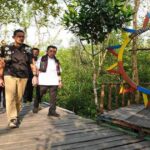 Wisata-MANGROVE-1