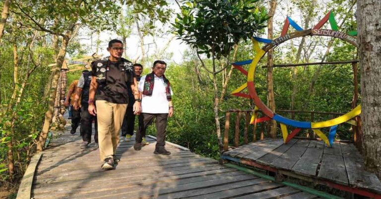 Wisata Mangrove Pangkal Babu Kuala Tungkal Dikunjungi Menparekraf