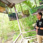 Wisata MANGROVE-3
