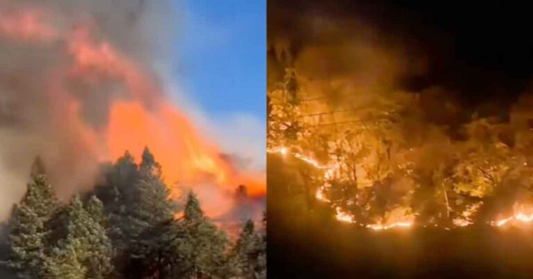 Kebakaran Hutan Kembali Terjadi di Guizhou, Tiongkok, Evakuasi Warga Berlangsung pada Larut Malam Hari Itu Juga