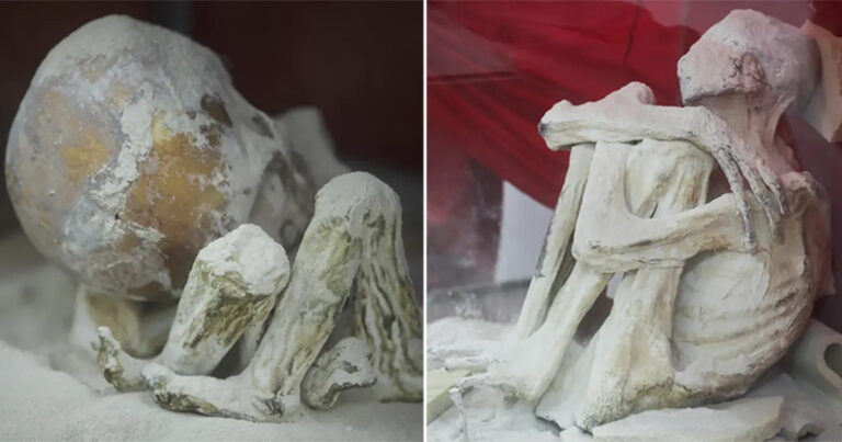 Gua di Peru yang Penuh dengan Artefak, Mumi yang Diyakini Sebagian Orang Sebagai Alien, Menjadi Target Perampok Makam