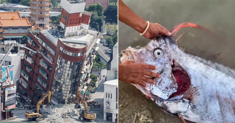 ‘Ikan Kiamat’ yang ‘Meramalkan Bencana’ Ditangkap Beberapa Jam Sebelum Gempa Bumi Mematikan di Taiwan Terjadi