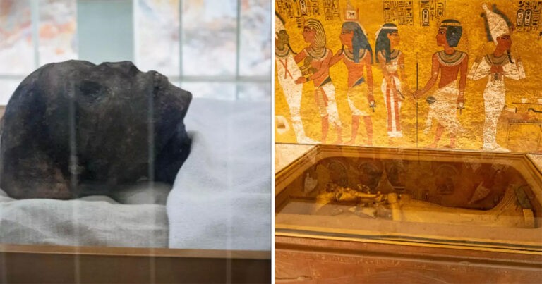 Ilmuwan Mungkin Akhirnya Mengetahui Penyebab ‘Kutukan’ yang Menewaskan 20 Orang yang Membuka Makam Tutankhamun