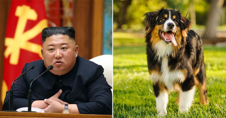 Kim Jong Un Melarang Memelihara Anjing dan Potongan Rambut Tertentu