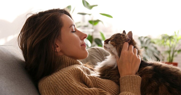 Kucing Dapat Membantu Kita Melawan Stres