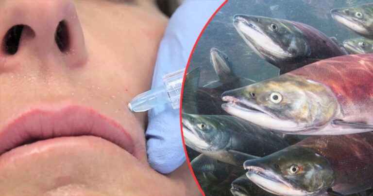 PETA Mendesak Masyarakat untuk Berhenti Menggunakan Sperma Salmon Sebagai Perubahan Kecantikan Terbaru